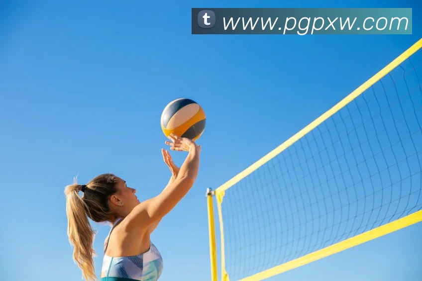 pgAPP 封面图